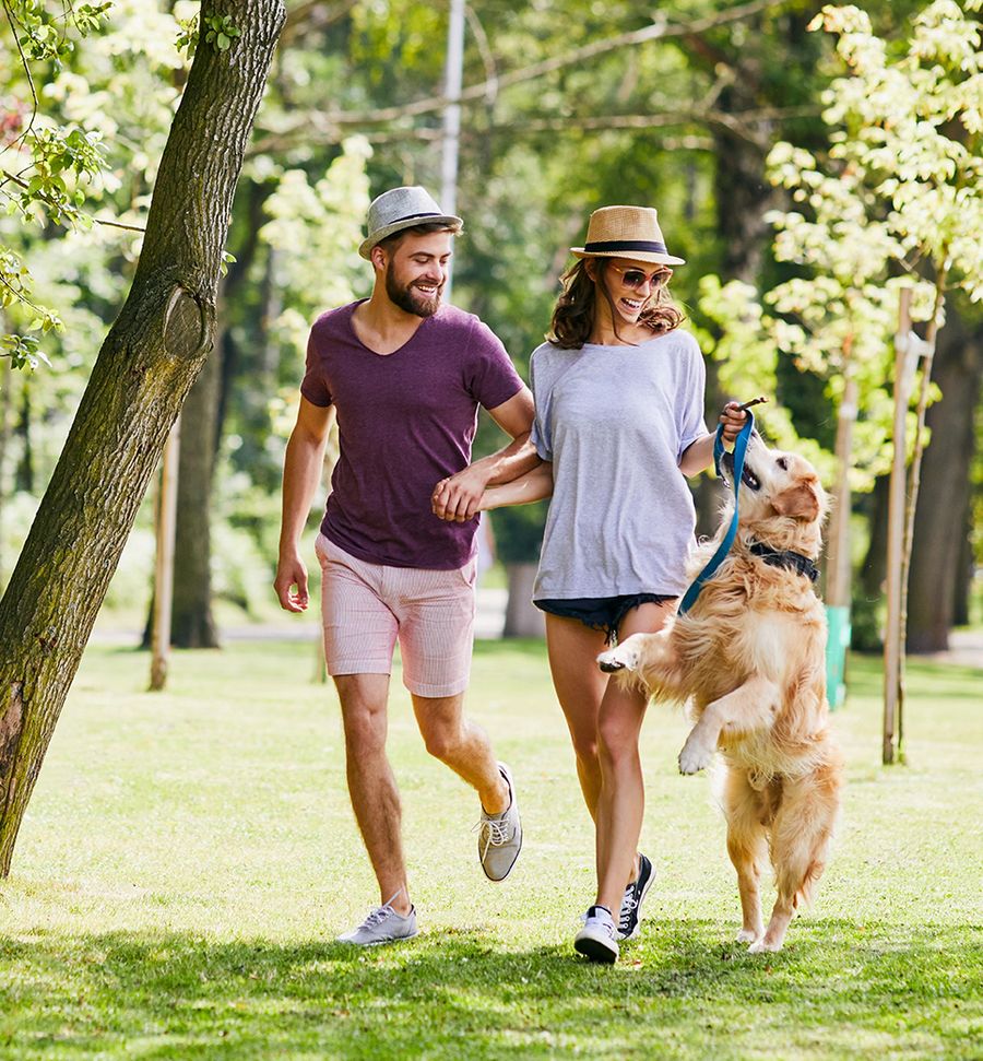 Couple walking their dog in the park